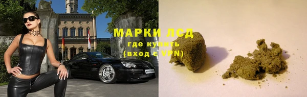 спайс Баксан