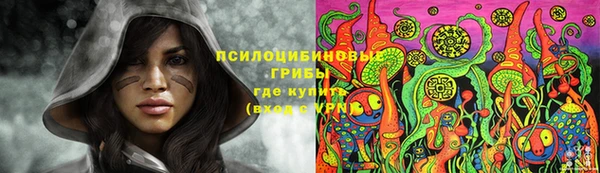 спайс Баксан