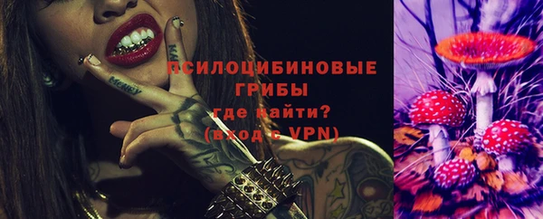 спайс Баксан