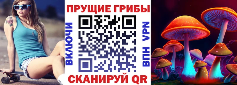 Псилоцибиновые грибы Psilocybe  Купить  Гороховец 